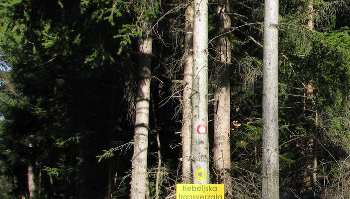 Kebeljska transverzala Kebeljska transverzala